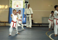 „Este imposibil să existe unitate în artele marţiale din România“